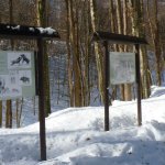 Pannelli illustrativi del parco 